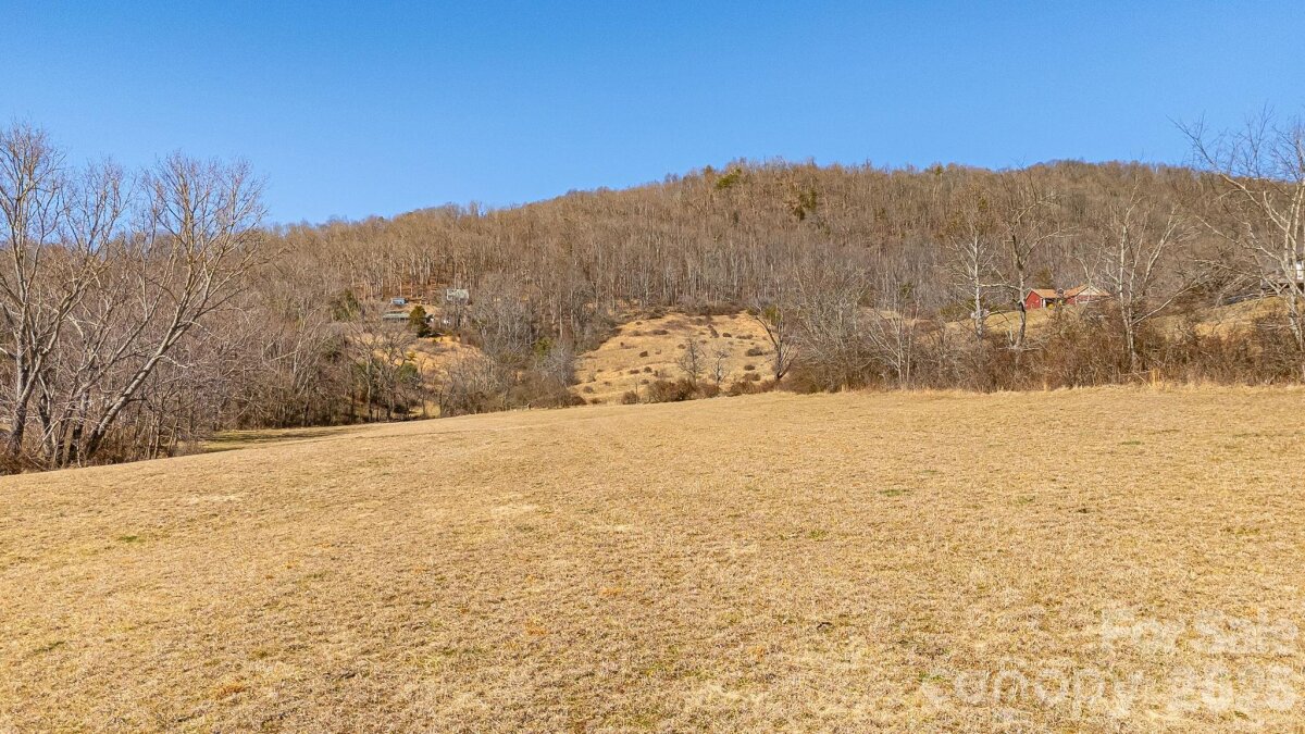 Sandy Mush 16 4346652p