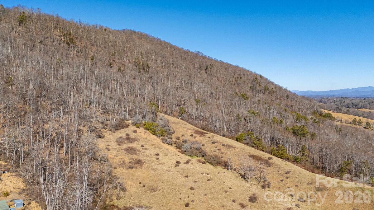 Sandy Mush 18 4346652r