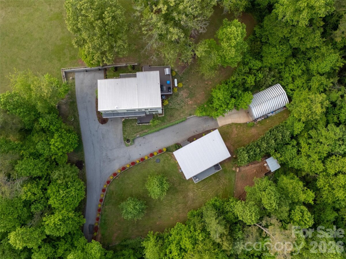 Sandy Mush 3 4346949c