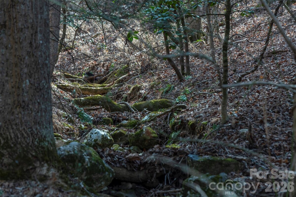 Avery Creek 16 4350567p