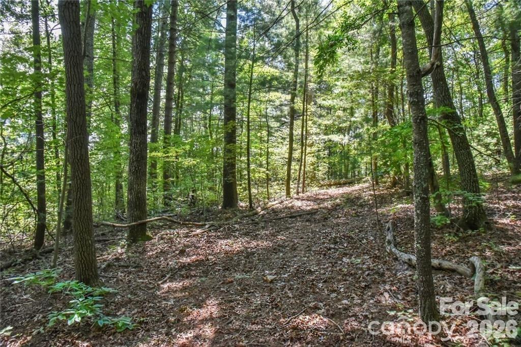 Fairview 17 4351159m