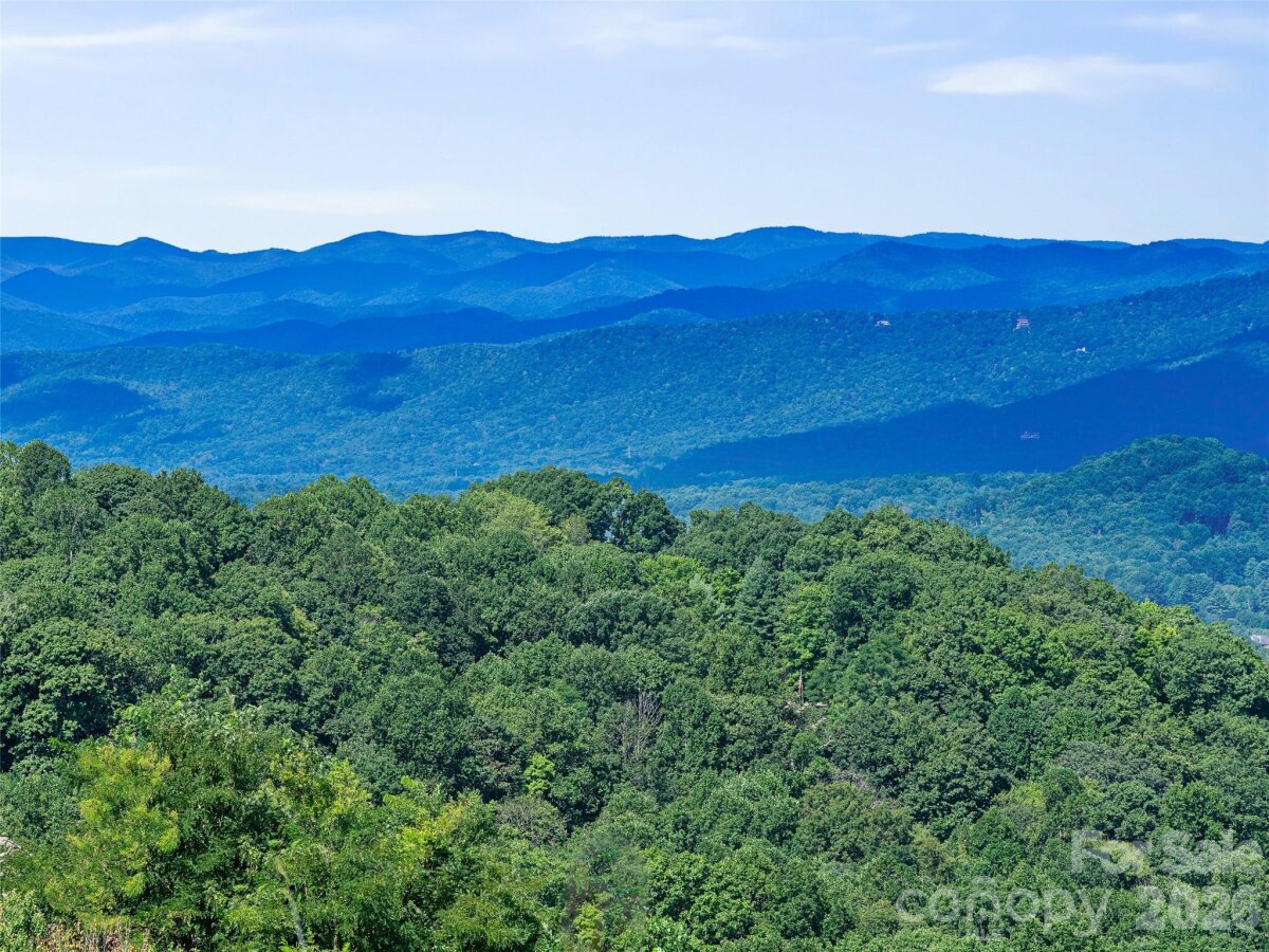 Hendersonville 4 4355348d