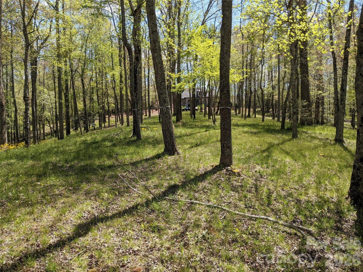 Avery Creek 2 4356724b