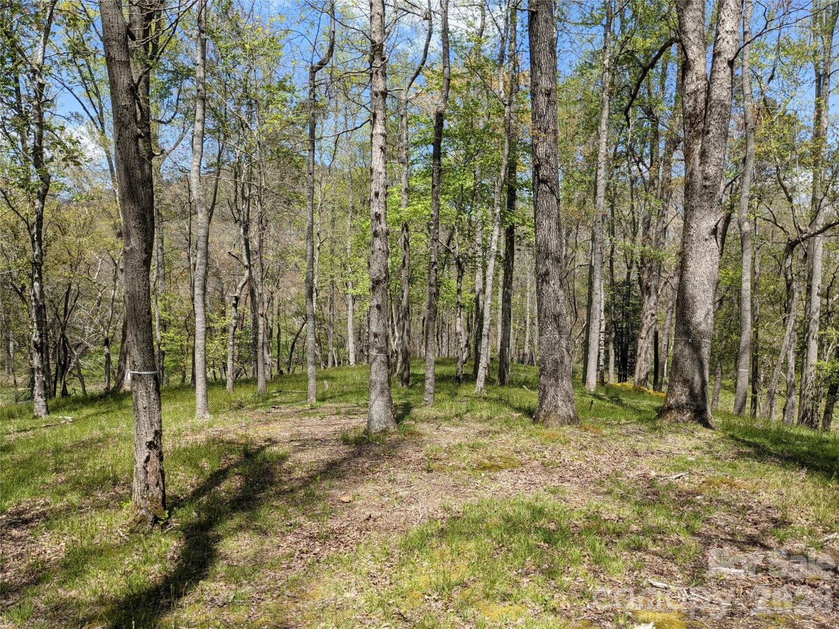 Avery Creek 5 4356724e