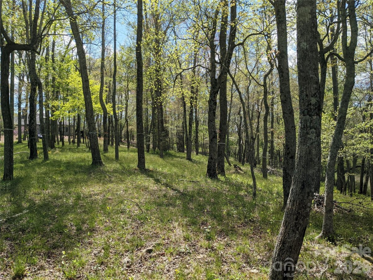 Avery Creek 6 4356724f