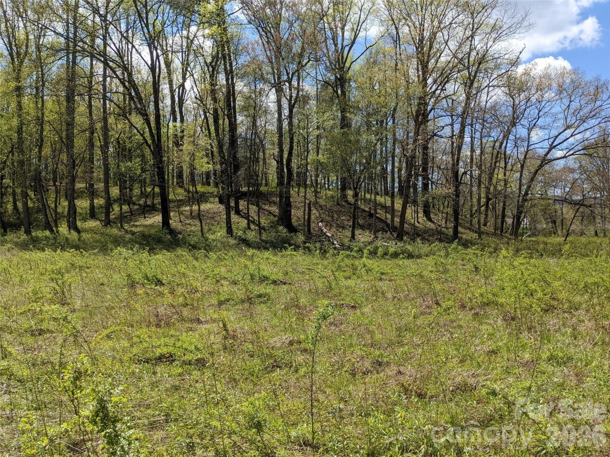 Avery Creek 15 4356724o