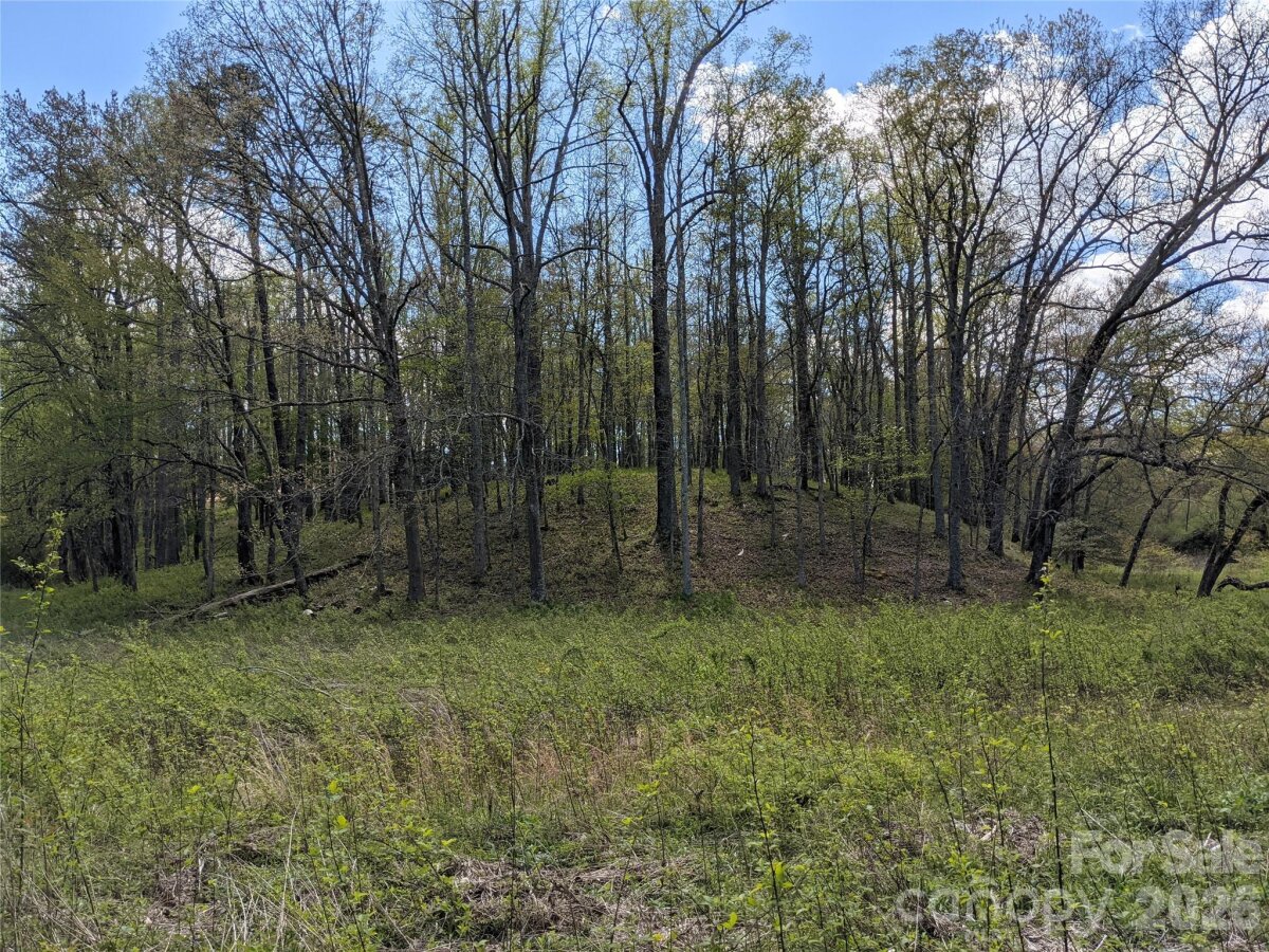 Avery Creek 21 4356724u