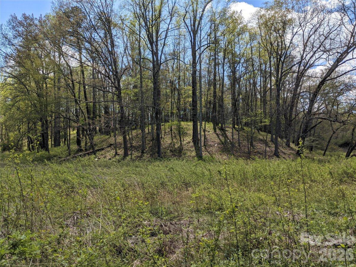 Avery Creek 23 4356724w