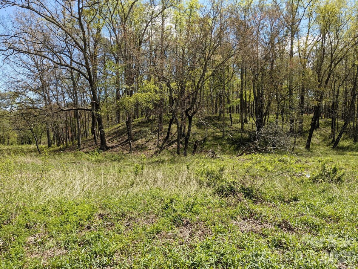 Avery Creek 25 4356724y