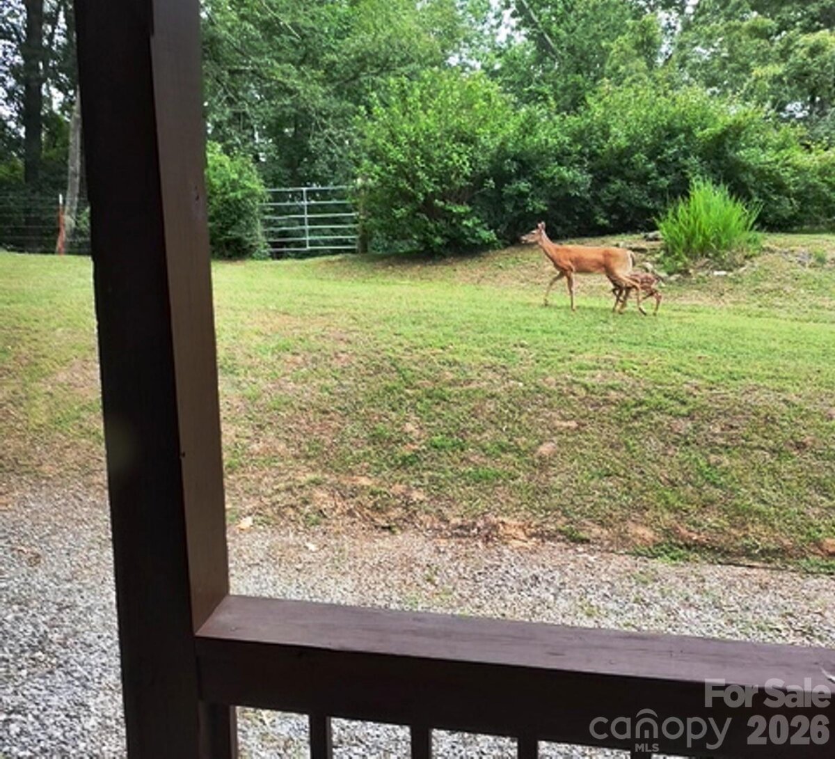 Waynesville 4 4360054d