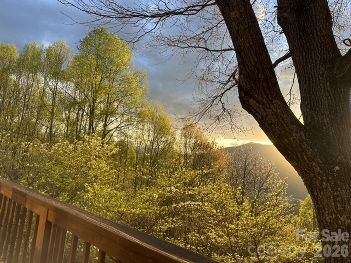 Waynesville 6 4360054f