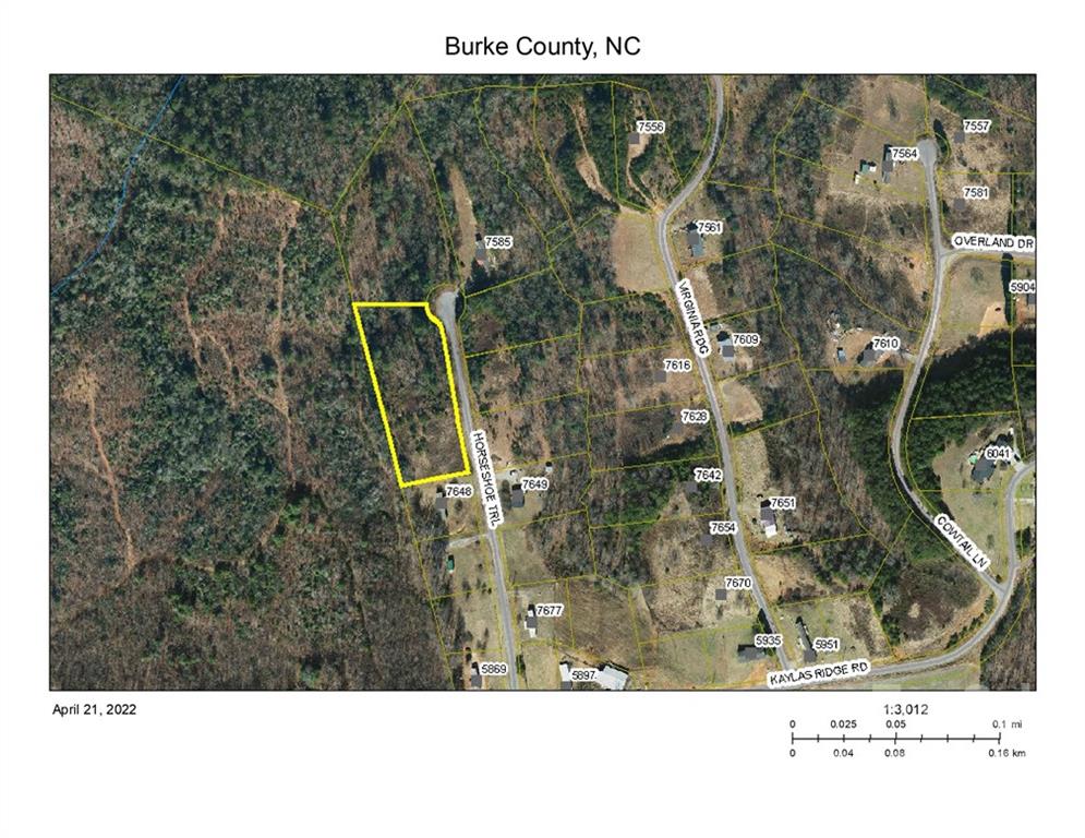 Horseshoe Trail Unit 36, Connelly Springs, NC 28612, MLS # 3845237