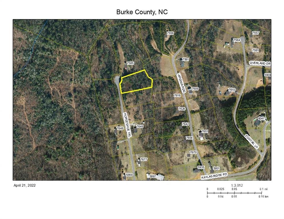 Horseshoe Trail Unit 40, Connelly Springs, NC 28612, MLS # 3845240