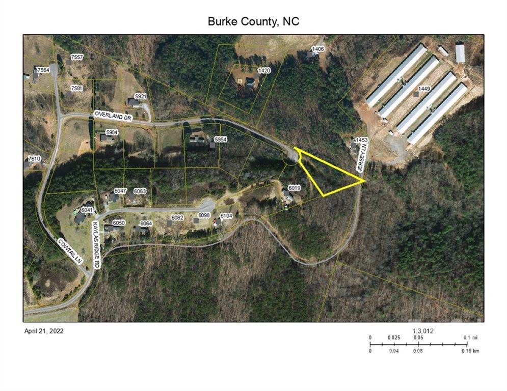Overland Drive Unit 101, Connelly Springs, NC 28612, MLS # 3845260