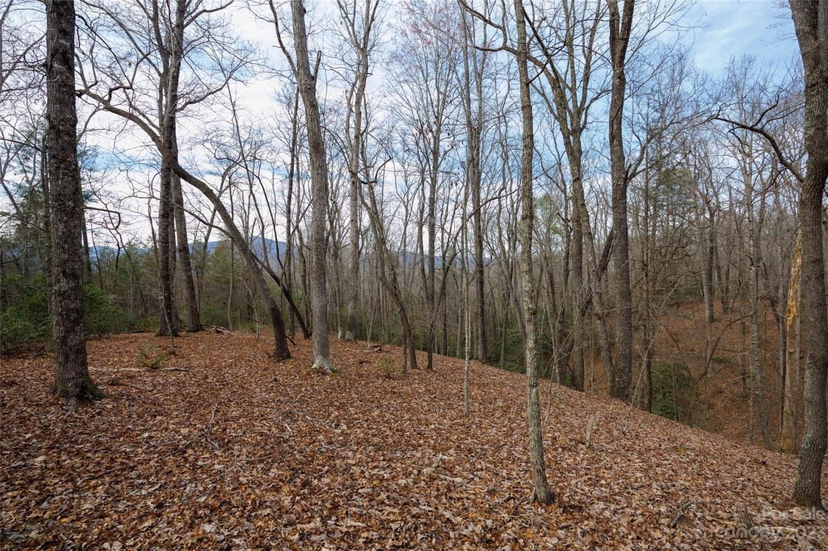 Lytle Mountain Road, Old Fort, NC 28762, MLS # 4015233