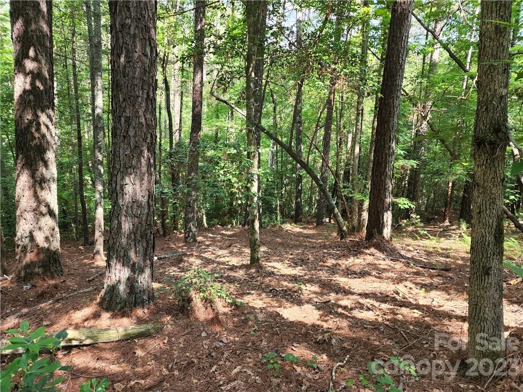 114 Rivercliff Drive, Connelly Springs, NC 28612, MLS # 4046276