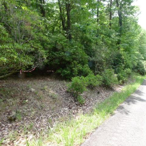 Mountain View Drive Unit 17, Lowgap, NC 27024, MLS # 4080781