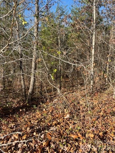 Holly Forest Drive, Rutherfordton, NC 28139, MLS # 4090673