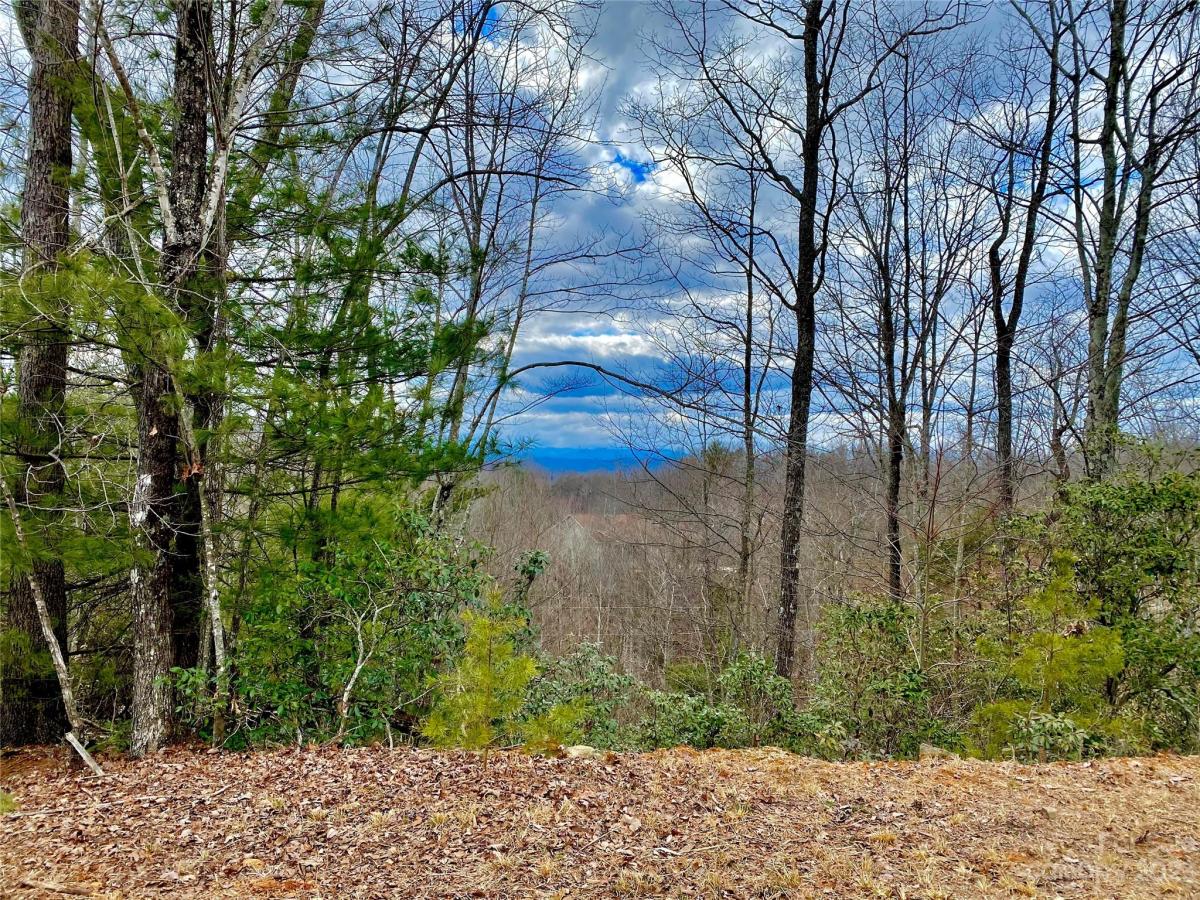 Pinnacle Drive, Boomer, NC 28665, MLS # 4097558