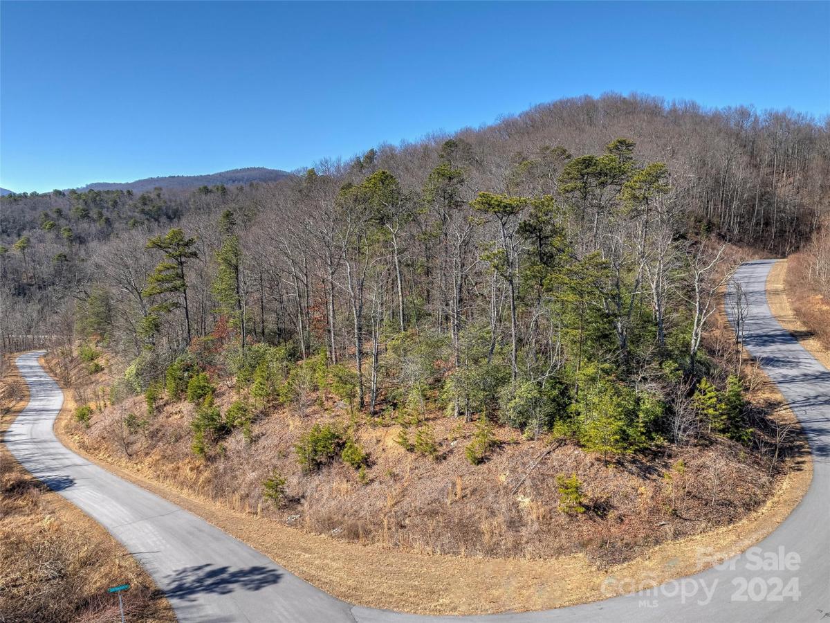 Saddle Back Trail Unit 136, Lake Lure, NC 28746, MLS # 4108220