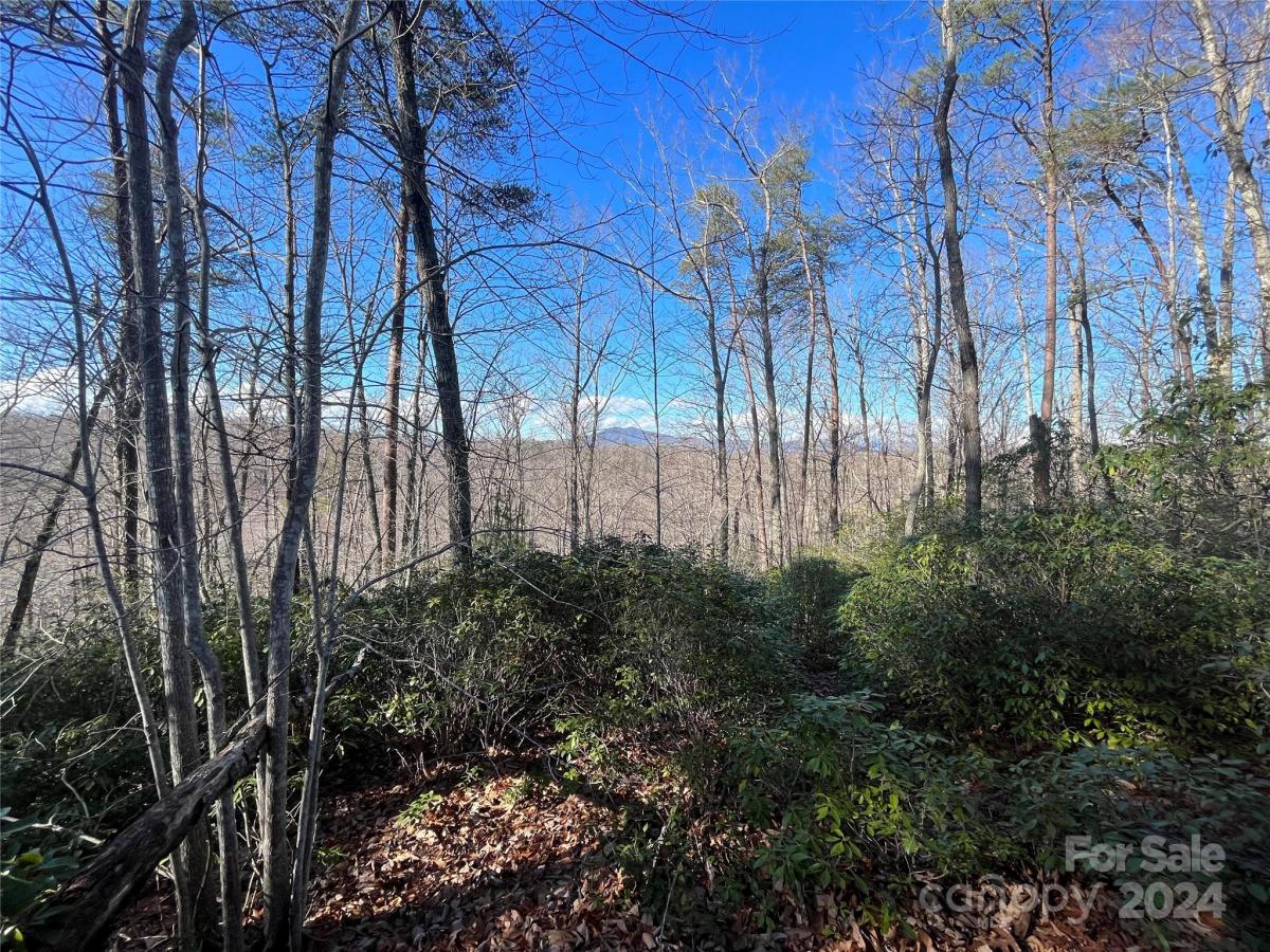 Overland Trail Unit 168, Marion, NC 28752, MLS # 4114637