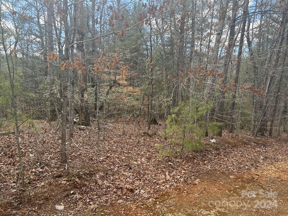 Forest Hill Drive Unit 30, Marion, NC 28752, MLS # 4118480