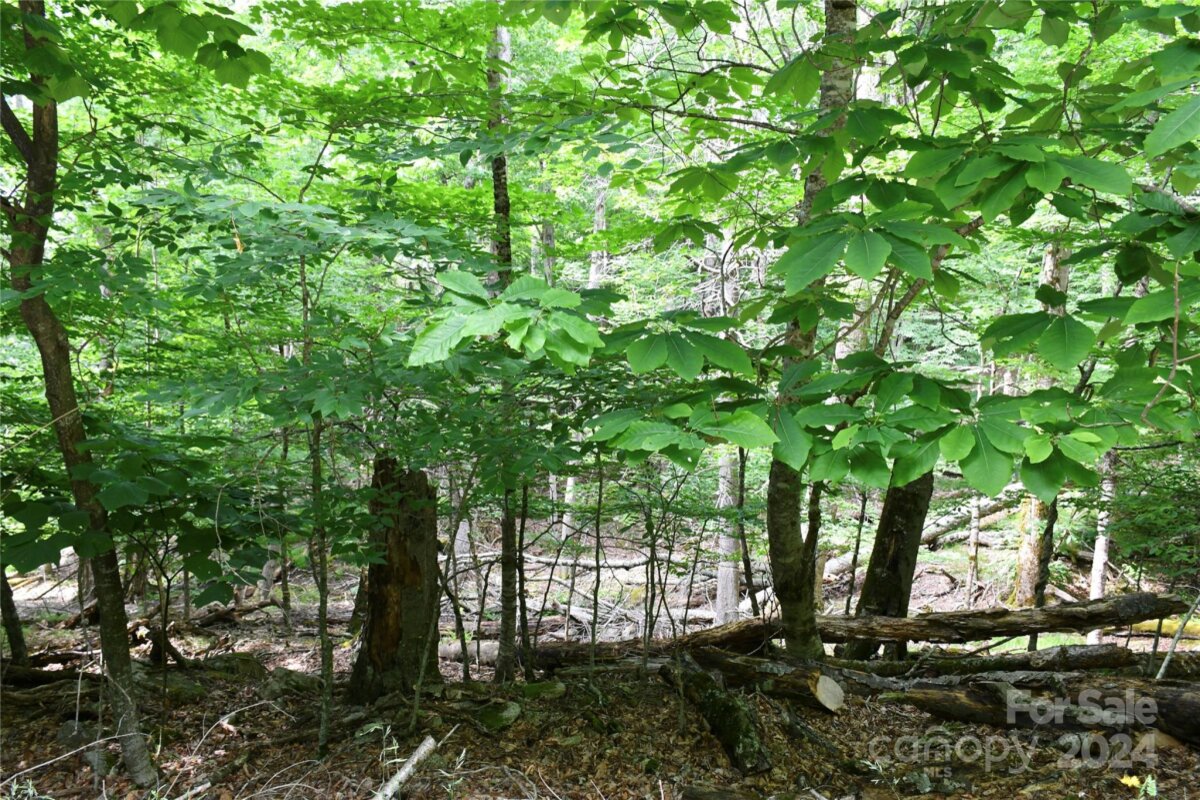 102 Blackberry Trail Unit 235/C, Beech Mountain, NC 28604, MLS # 4118808