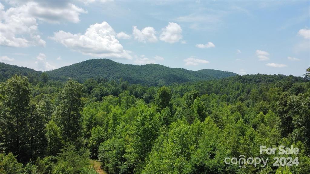 15159 Hwy 226 South, Union Mills, NC 28167, MLS # 4121162