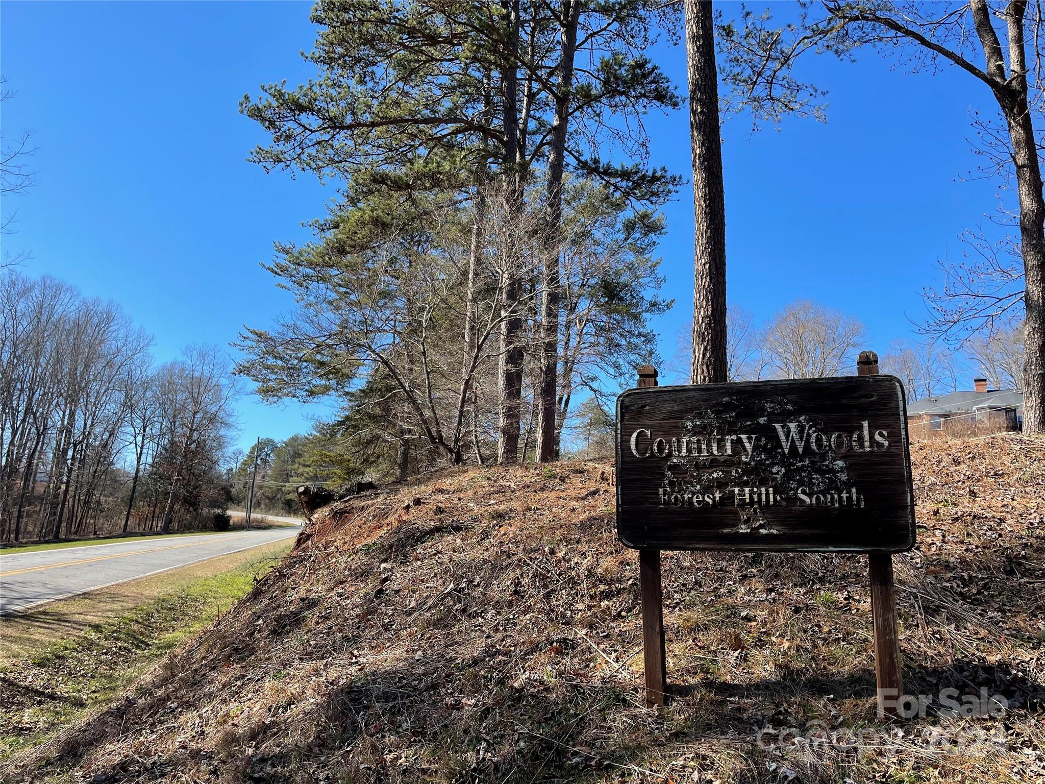 Country Woods Drive Unit 12, Rutherfordton, NC 28139, MLS # 4122458