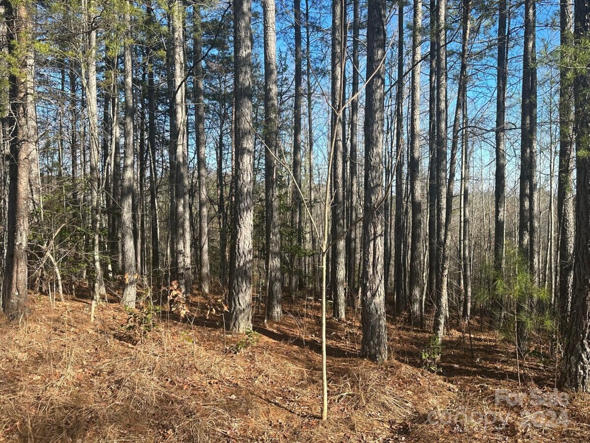 Pine Cone Trail, Rutherfordton, NC 28139, MLS # 4124413