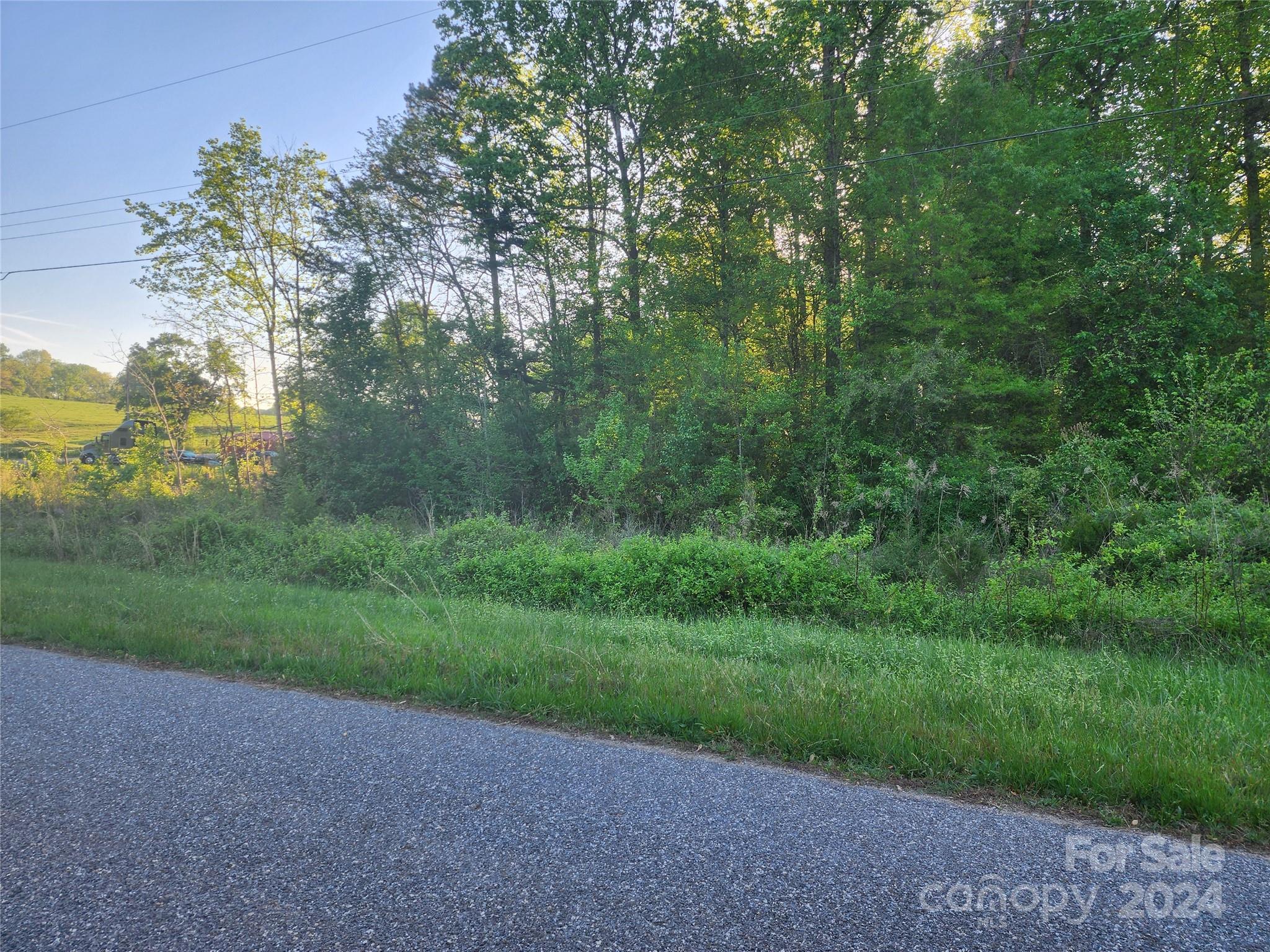 NC Highway, Taylorsville, NC 28681, MLS # 4130955