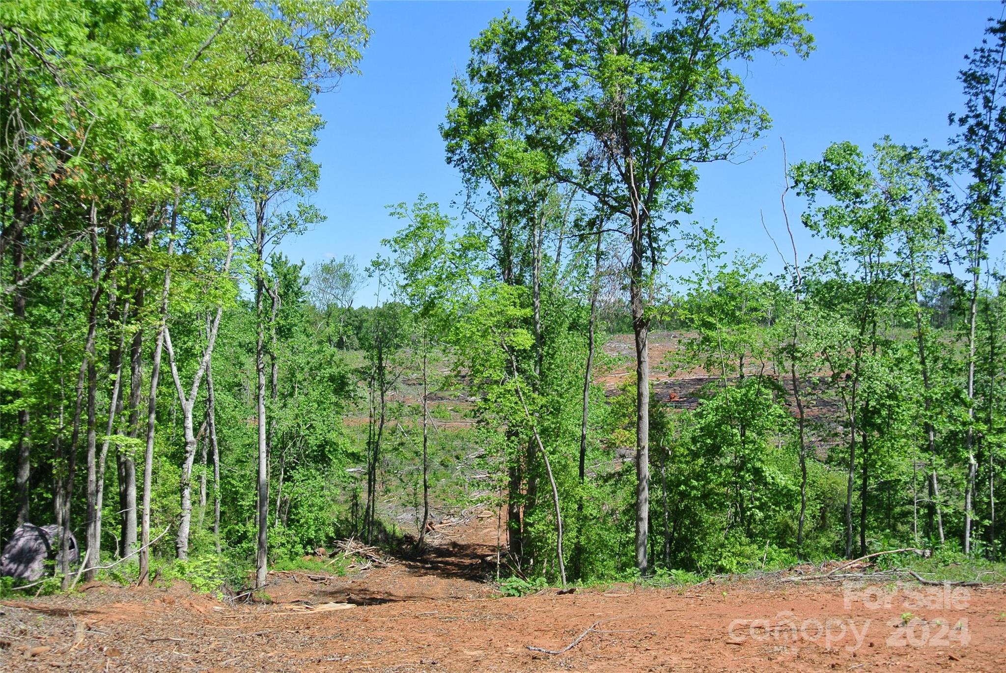 Hopper Road, Forest City, NC 28043, MLS # 4135867