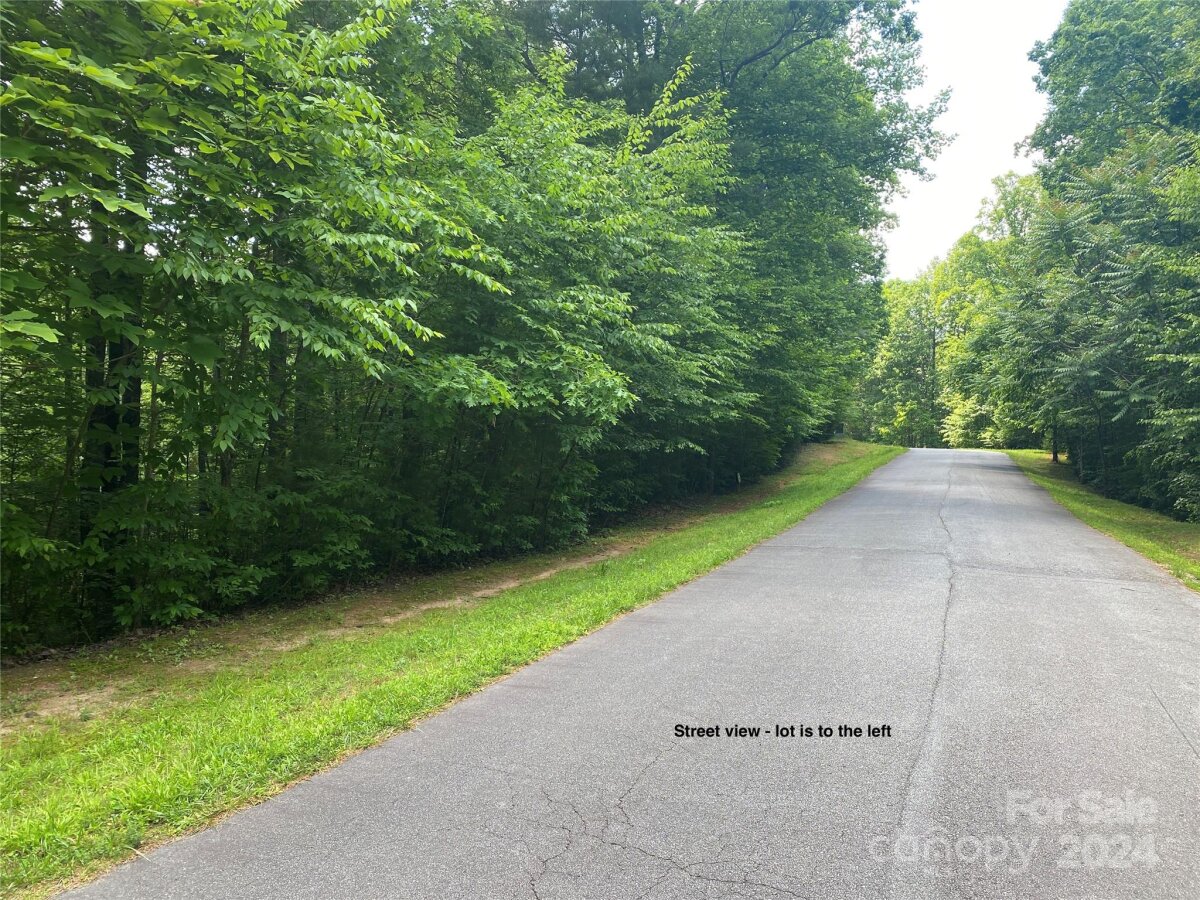 Walnut Ridge Drive, Lenoir, NC 28645, MLS # 4143670