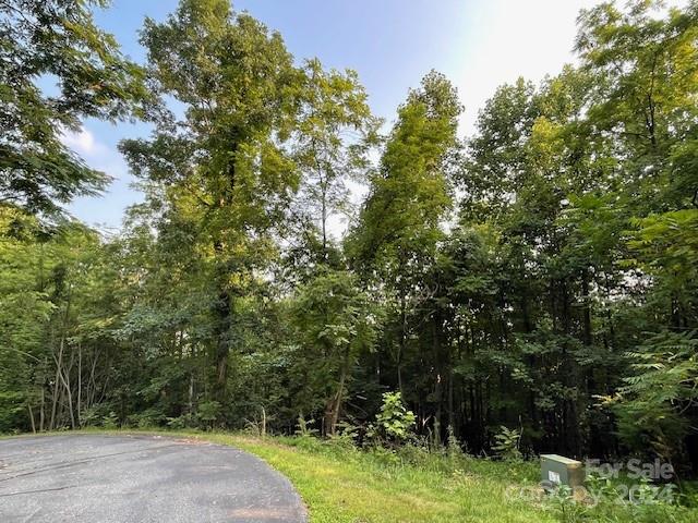 Azule Drive, Bostic, NC 28018, MLS # 4152295