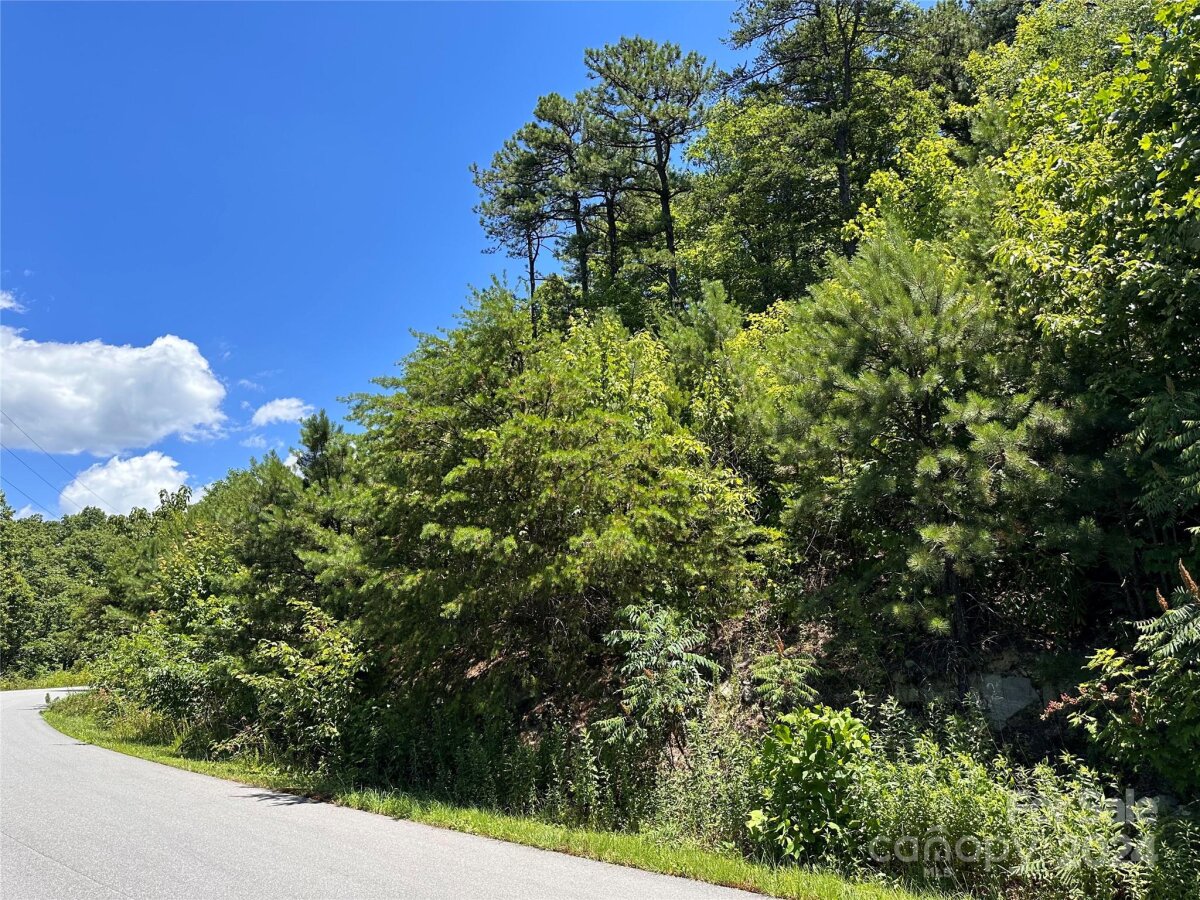 Grey Rock Parkway, Lake Lure, NC 28746, MLS # 4157229