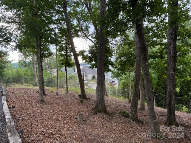 111 Holly Cove Trail, Mount Gilead, NC 27306, MLS # 4161132