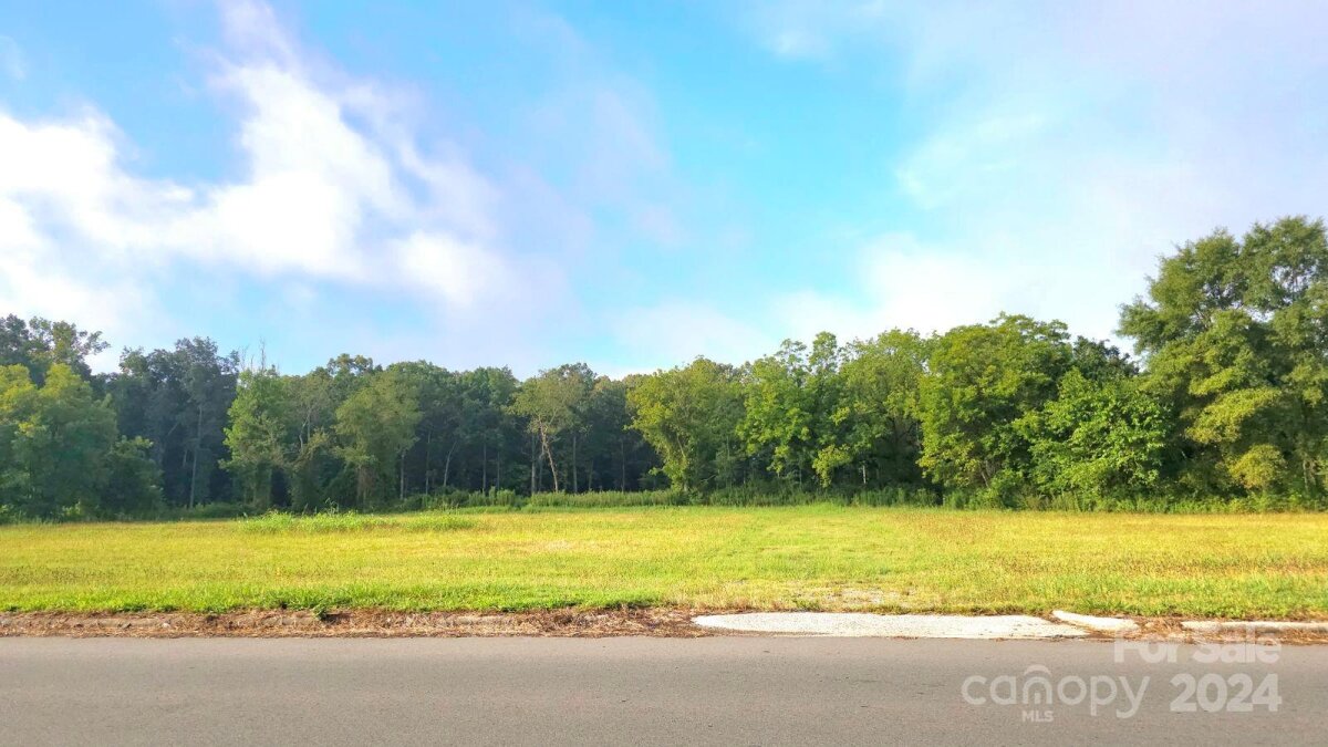 4610 E Highway 74 Highway, Wingate, NC 28174, MLS # 4164064