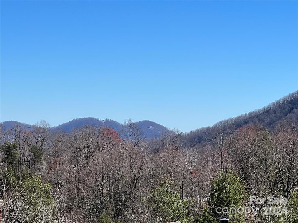 365 Feather Falls Trail Unit 48, Black Mountain, NC 28711, MLS # 4166786