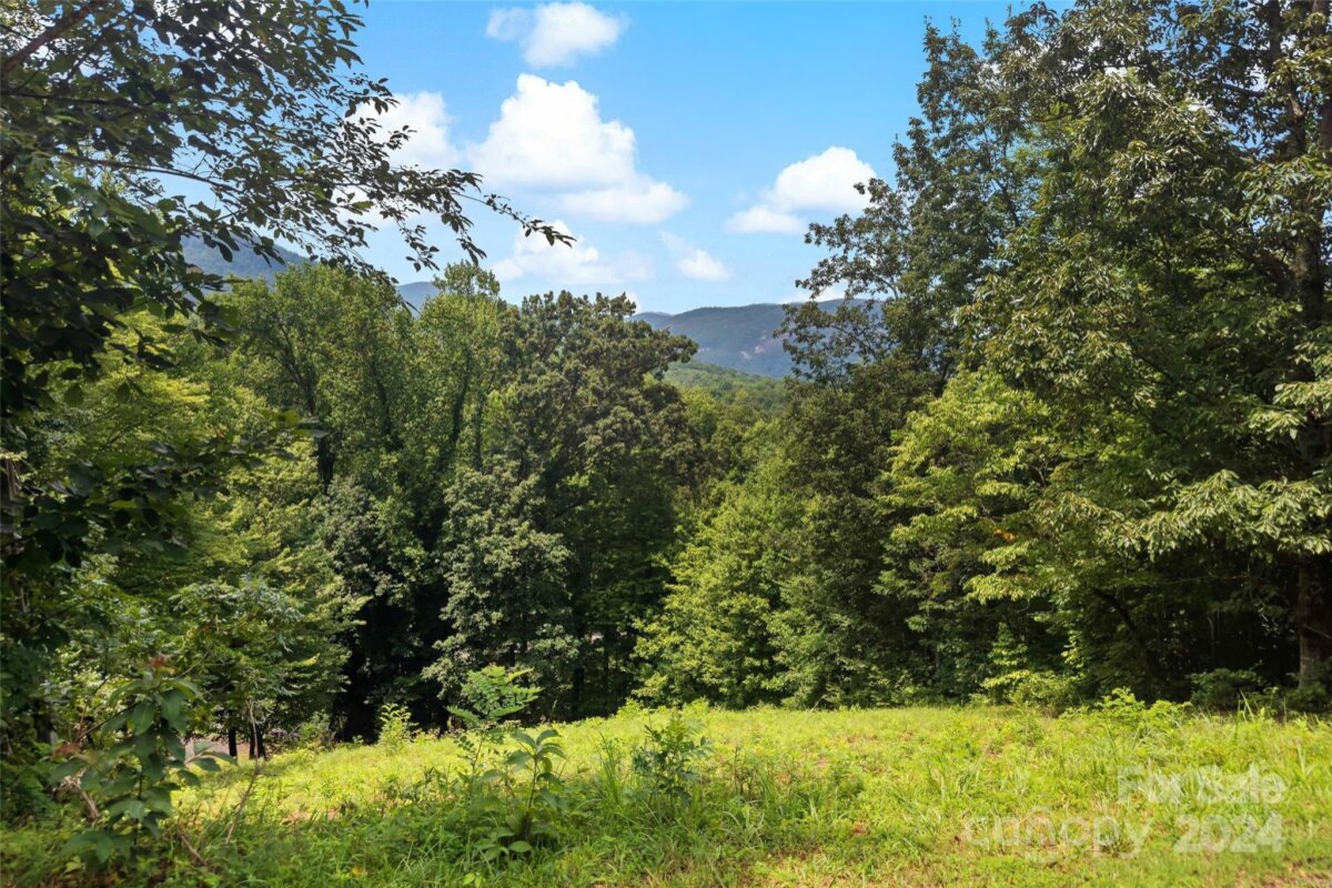 118 Fisher Court, Lake Lure, NC 28746, MLS # 4167337