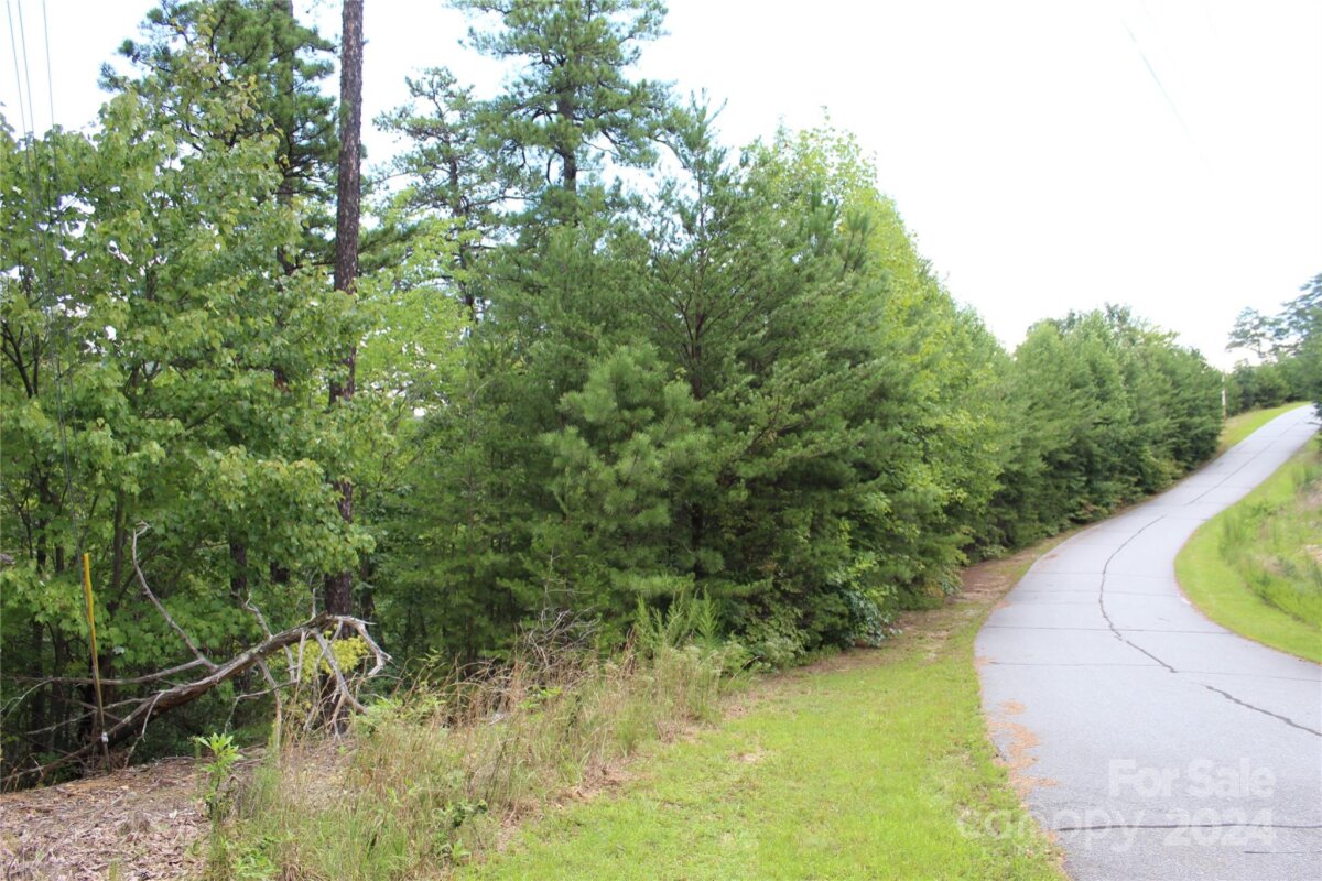 Brighton Drive, Bostic, NC 28018, MLS # 4173697