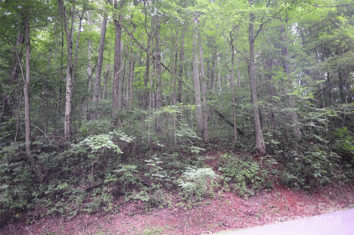 132 Ironwood Lane Unit #C17/, Black Mountain, NC 28711, MLS # 4173776