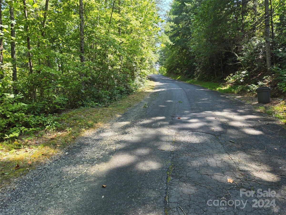 Rumbling Bald Road, Lake Lure, NC 28746, MLS # 4178691