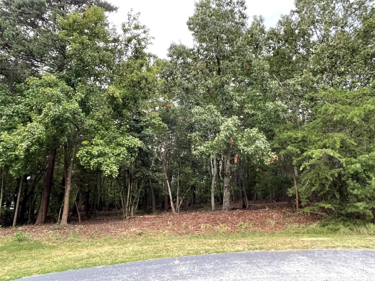 135 Deep Water Court Unit 136 P, New London, NC 28127, MLS # 4178912