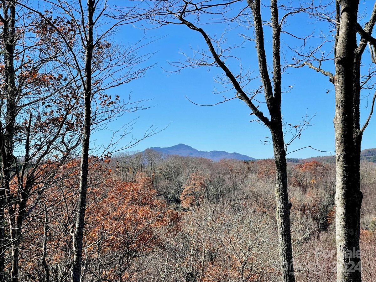 142 tanglewood Trail Unit 142, Blowing Rock, NC 28607, MLS # 4187526