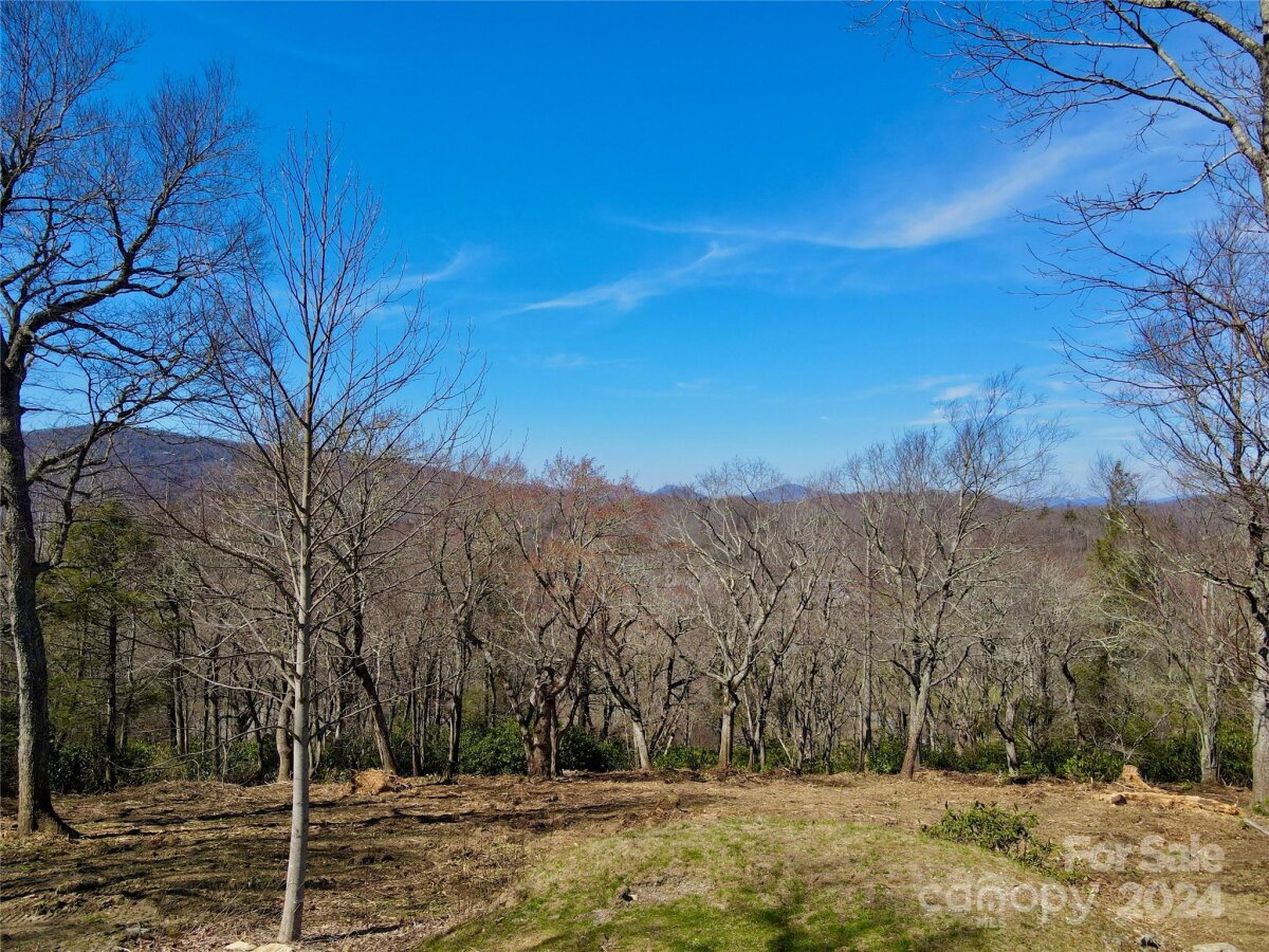 239 Thunder Wood Trail Unit 239, Blowing Rock, NC 28605, MLS # 4187531