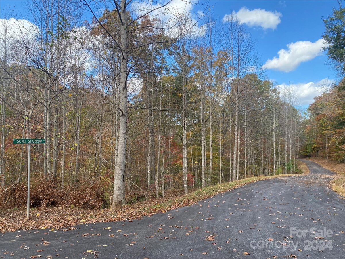 Song Sparrow Drive, Marion, NC 28752, MLS # 4196680