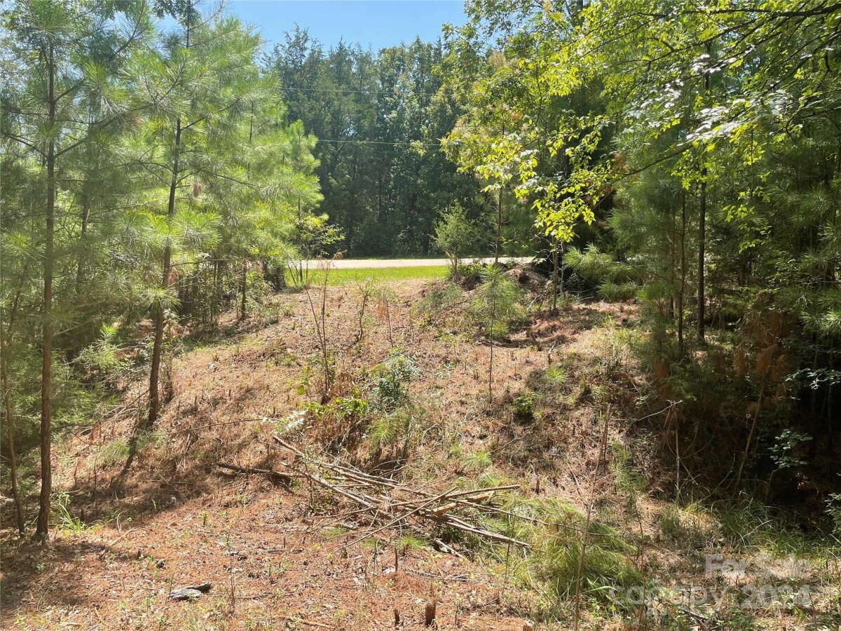 Pine Moss Lane, Clover, SC 29710, MLS # 4202367