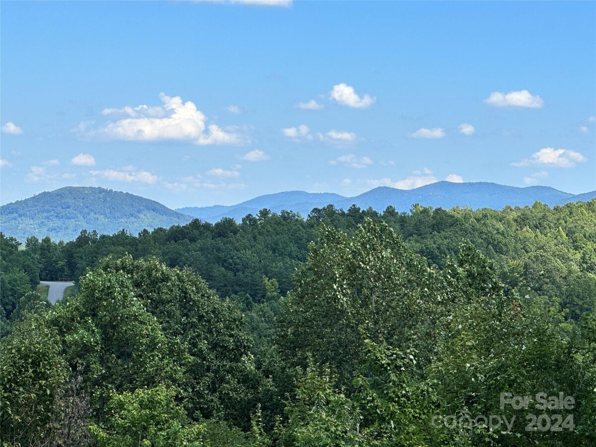 65 Serene Trail Unit 461, Nebo, NC 28761, MLS # 4205324