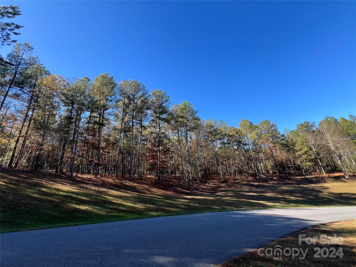 110 Rivercliff Drive Unit 32, Connelly Springs, NC 28612, MLS # 4206244