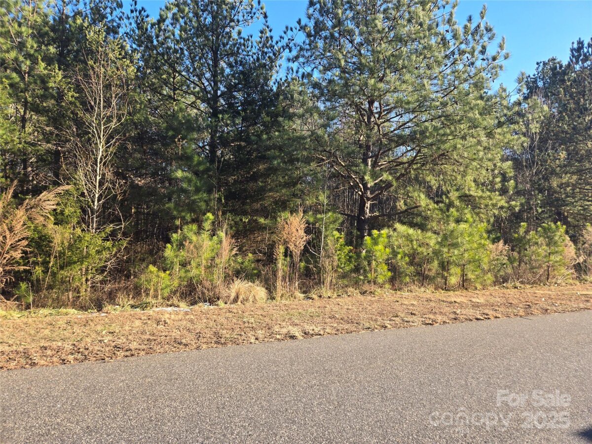 283 Rivercliff Drive Unit 20, Stony Point, NC 28678, MLS # 4214142